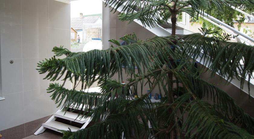 Гостиница Зима-Лето у Ирины Судак-10