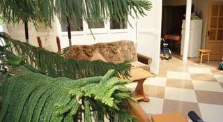 Гостиница Зима-Лето у Ирины Судак-5