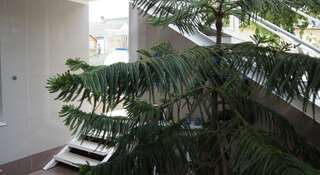 Гостиница Зима-Лето у Ирины Судак-6